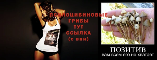 mdpv Горняк